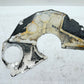 87-02 Jeep Cherokee XJ 4.0 6 Cyl Engine Block to Transmission Spacer Plate AW4