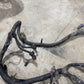 97 Jeep Wrangler TJ 1997 2.5L 4-Cylinder Manual ENGINE Wiring Harness NO A/C 2.5