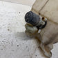 97-02 Jeep TJ Wrangler Single Pump Windshield Washer Reservoir Sprayer Tank OEM