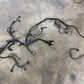01 Jeep TJ Wrangler Wiring Harness 2.5 4cyl 5 speed Engine Injector Sensor Main