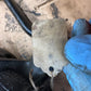 DELPHI CONVERSION Power Steering Gear Box Gearbox 2003 Dodge Ram 2500 3500 4WD