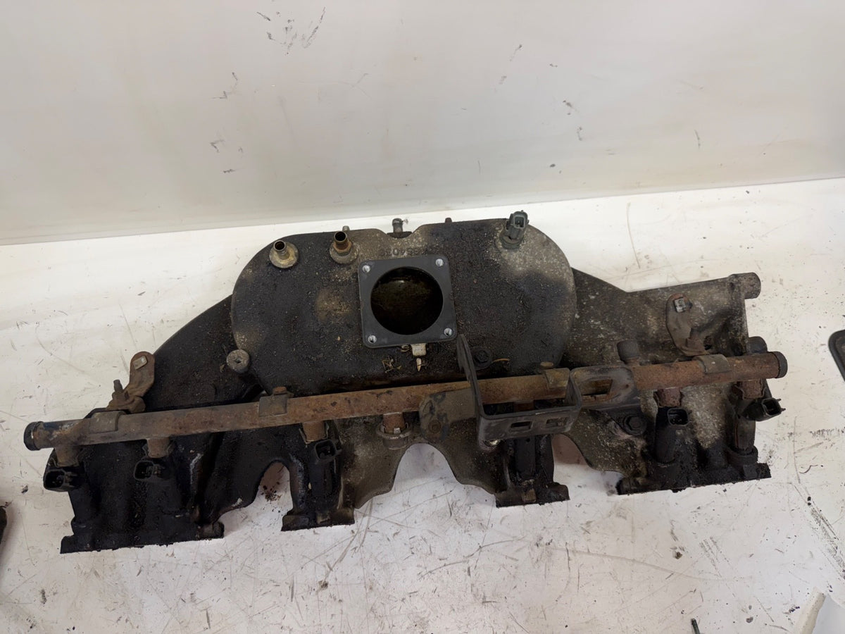 Jeep Cherokee XJ 99-04 4.0 High Output Intake Manifold Wrangler TJ HO Horseshoe
